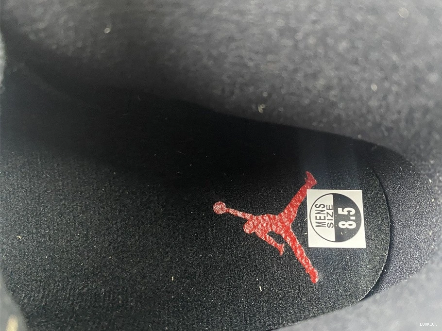 Rep Playoffs (2022) Retro Jordan - 12 CT8013-006 0509